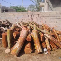 برش درخت، و قطع نخل،وخریدچوب برش خورده در کل استان