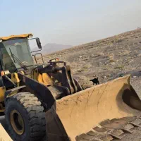 لودر ZL50