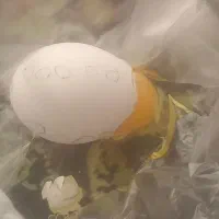 رفع نظر با تخمرغ