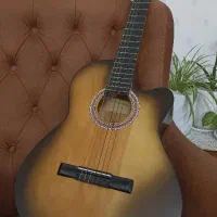 گیتار دیاموند