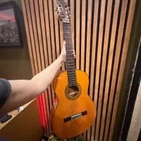 گیتار آریا ak30