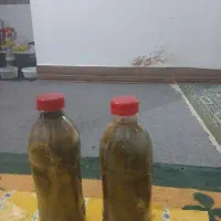 خیار‌شور‌بروجرد