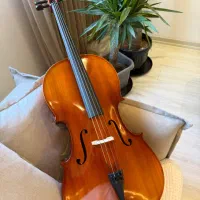 ویولنسل TF ویولن سل تی اف/ با شرایط اقساطی