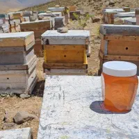 عسل|خوردنی و آشامیدنی|تهران, جیحون|دیوار