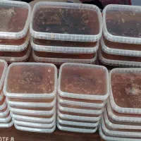 عسل ارگانیک کوردستان