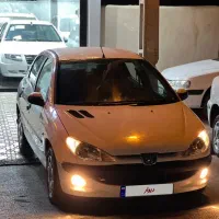 ۲۰۶ تیپ ۲ استثنایی