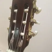 گیتار کلاسیک بلژیکی استگ C548|گیتار، بیس، امپلیفایر|تهران, شهرک دریا|دیوار