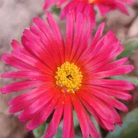 اسباب بازی....موردنیاز و استفاده ی هفتگی