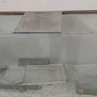 آکواریوم همراه با شن و ماسه|ماهی|برازجان, |دیوار