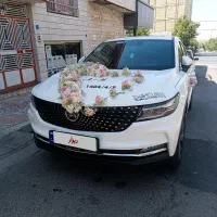 دیگنیتی مدل 1401بی رنگ