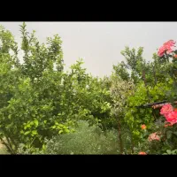 ویلا باغ|اجارهٔ کوتاه‌مدت ویلا و باغ|ایذه, |دیوار