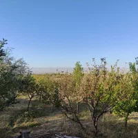 باغ جاده فرودگاه 3کیلومتری شهر