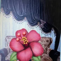 والان پرده