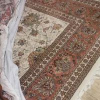 روکش فرش مخمل ۱۲ متری|روفرشی|همدان, |دیوار