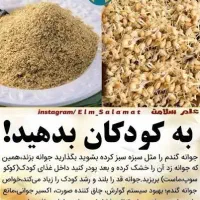 ۸جوانه|خوردنی و آشامیدنی|مشهد, شهرک امام سجاد|دیوار
