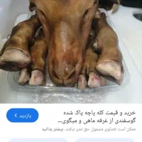 کله پاچه پاک شده