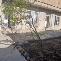 حیاط ۲۲۵درمرند