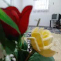 اجاره روزانه/هفتگی/ماهانه آپارتمان ۵۰ متری