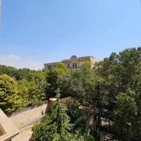 ۱۷۰ متر محمودیه (دسترسی چمران+چشم انداز مشجر)|اجارهٔ آپارتمان|تهران, محمودیه|دیوار
