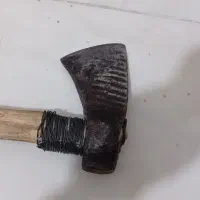 جنس اصل جنگل