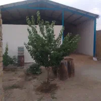 سوله|فروش دفتر صنعتی، کشاورزی، تجاری|ملایر, |دیوار