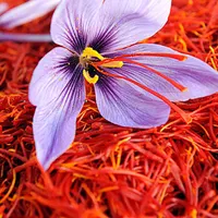 زعفران اعلای خراسان