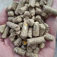 خوراک دام پرواری گوسفندی|لوازم جانبی حیوانات|شیراز, شهرک صنعتی شیراز|دیوار