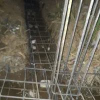 بنایی سیمانکاری  تخریب بتن ریزی پی کنی حمل اساس|خدمات پیشه و مهارت|رشت, یخسازی|دیوار