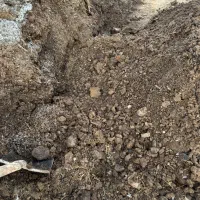 کود گوسفند و گاو پوسیده باگوگرد|خدمات باغبانی و درختکاری|یزد, |دیوار