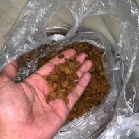 کشمش و مویز کاشمر|خوردنی و آشامیدنی|سبزوار, توحیدشهر|دیوار