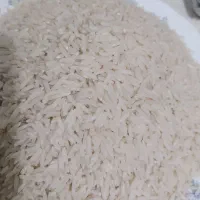 برنج هاشمی گیلان سورتینگ شده