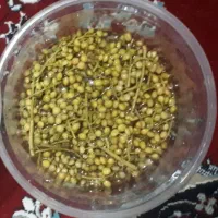 ترشی بنه شک خونگی