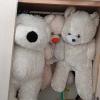 سه عدد خرس بزرگ