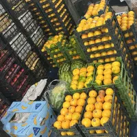آگهی استخدام بازاریاب تلفنی ( کار در منزل )
