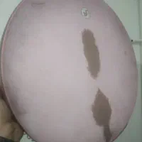 دف دربندی|سازهای سنتی|بابل, |دیوار