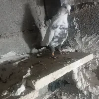 سینه ای