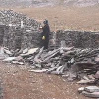 استخدام نیروی ساده