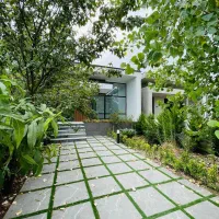 زیر-قیمت-فقط-تا-آخر-هفته-چسبه-جنگل-200-م