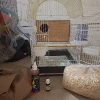 قفس و لانه پرنده قیمت عالی