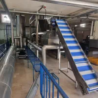 خط تولید مکانیزه تولید پیاز داغ و پیاز خشک