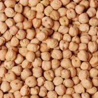 محصولات محلی لنجون|خوردنی و آشامیدنی|ایذه, |دیوار