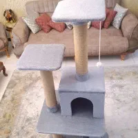 خانه گربه اسکرچر|لوازم جانبی حیوانات|مشهد, نیروی هوایی|دیوار