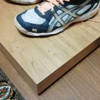 کتانی والیبال اسیکس