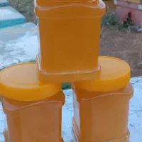 عسل بهاره گون