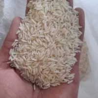 برنج هاشمی اعلا ۳ الکه سورتینگ شده