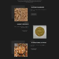 طراحی وبسایت سئو شده و سریع با قیمت مناسب