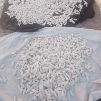 کره گاوه قروت غره قورت|خوردنی و آشامیدنی|سده (خراسان جنوبی), |دیوار