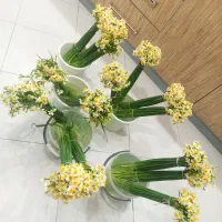 گل نرگس طبیعی از کوه های بلند خوزستان  14|گل و گیاه طبیعی|بیرجند, |دیوار