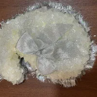 نبات