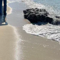 انگشتر طلا پیدا شده